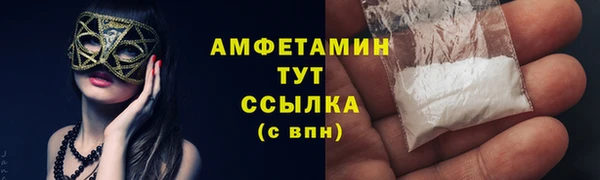 прущие грибы Алексин
