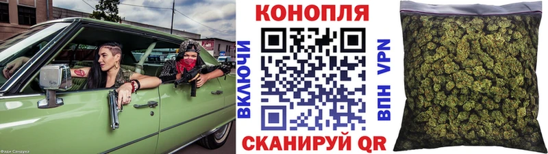 Марихуана сатива  Россошь 